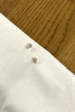 New Maison Guillemette BOUCLES D'OREILLES JAMES